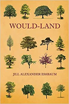 Would Land by Jill Alexander Essbaum